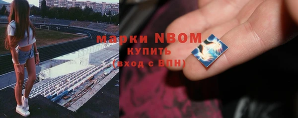 крисы Няндома