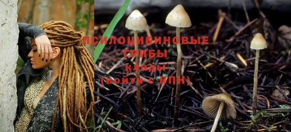тгк Нязепетровск