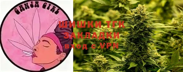 тгк Нязепетровск