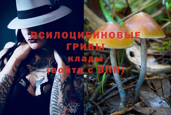 прущие крисы Нягань