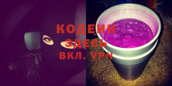 крисы Няндома