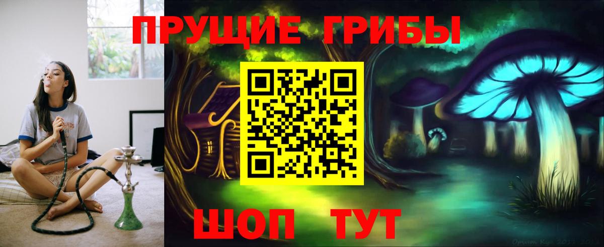 Псилоцибиновые грибы прущие грибы Луга