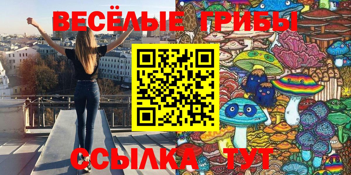 Псилоцибиновые грибы MAGIC MUSHROOMS  Галлюциногенные грибы Psilocybe  Луга  Вход с VPN 